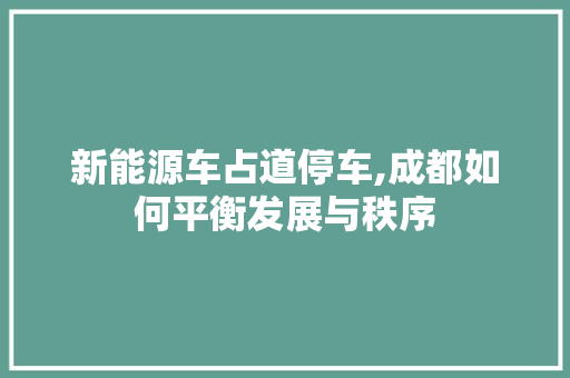 新能源车占道停车,成都如何平衡发展与秩序