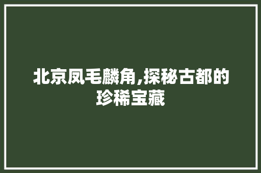 北京凤毛麟角,探秘古都的珍稀宝藏