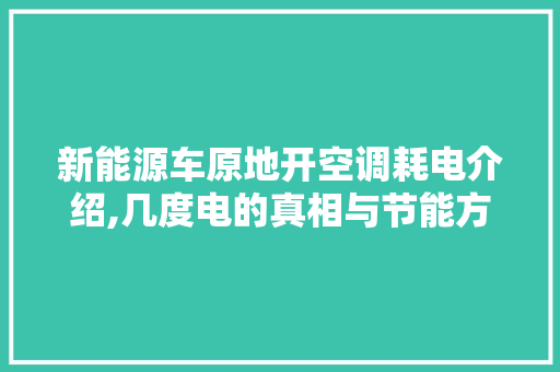 新能源车原地开空调耗电介绍,几度电的真相与节能方法