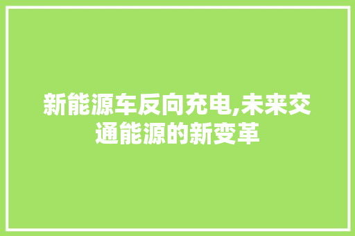 新能源车反向充电,未来交通能源的新变革