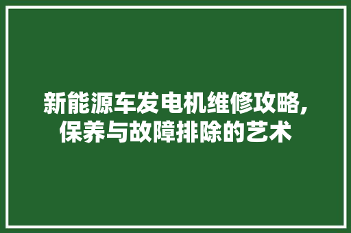 新能源车发电机维修攻略,保养与故障排除的艺术