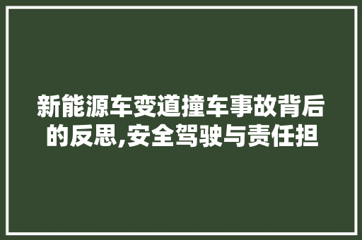 新能源车变道撞车事故背后的反思,安全驾驶与责任担当