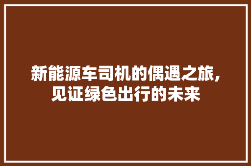 新能源车司机的偶遇之旅,见证绿色出行的未来