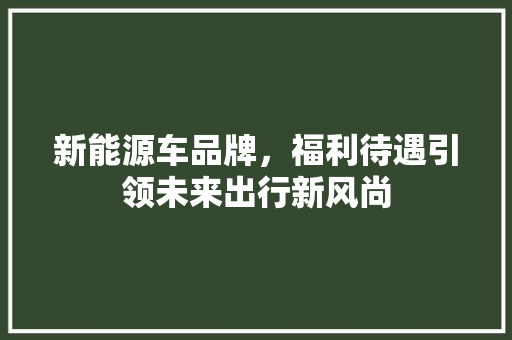 新能源车品牌，福利待遇引领未来出行新风尚