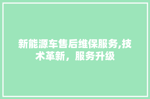 新能源车售后维保服务,技术革新，服务升级