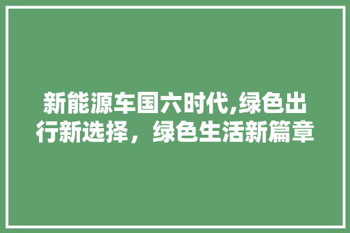 新能源车国六时代,绿色出行新选择，绿色生活新篇章