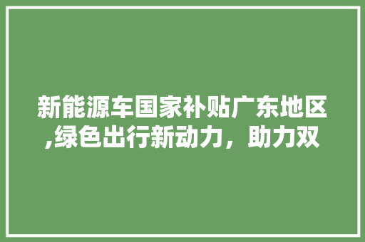 新能源车国家补贴广东地区,绿色出行新动力，助力双碳目标实现