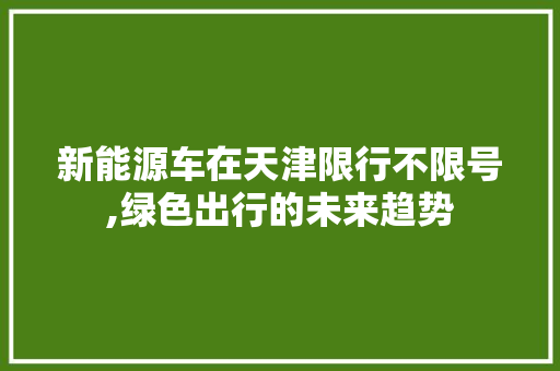 新能源车在天津限行不限号,绿色出行的未来趋势