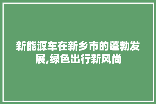 新能源车在新乡市的蓬勃发展,绿色出行新风尚