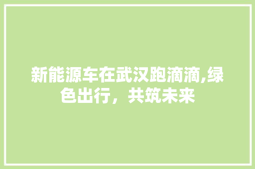 新能源车在武汉跑滴滴,绿色出行，共筑未来