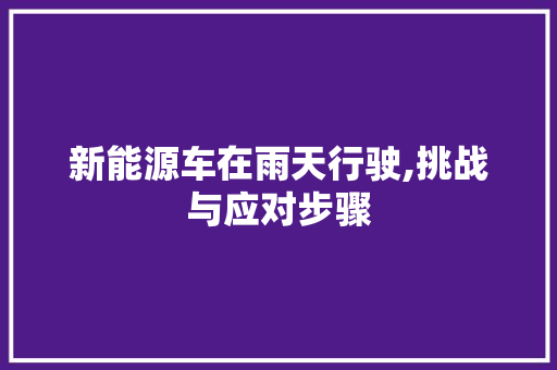 新能源车在雨天行驶,挑战与应对步骤