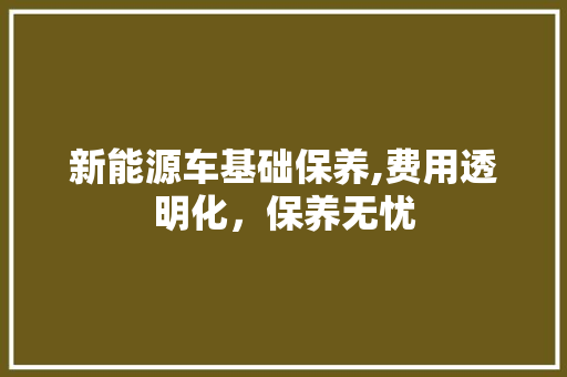 新能源车基础保养,费用透明化，保养无忧