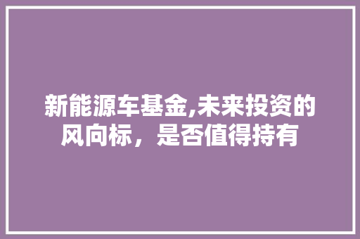 新能源车基金,未来投资的风向标，是否值得持有