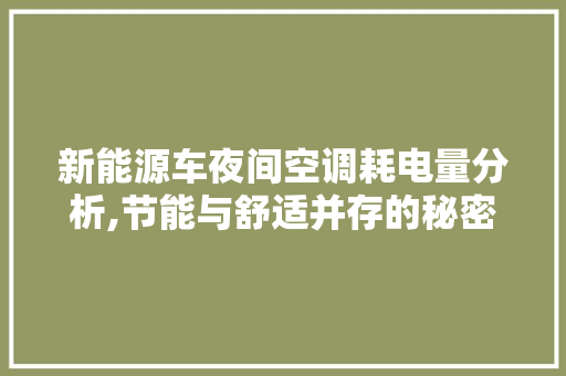 新能源车夜间空调耗电量分析,节能与舒适并存的秘密