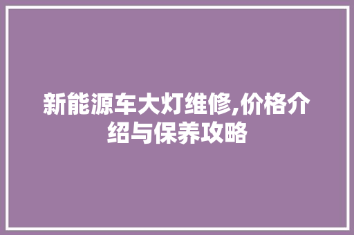 新能源车大灯维修,价格介绍与保养攻略