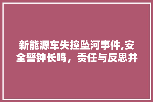 新能源车失控坠河事件,安全警钟长鸣，责任与反思并行