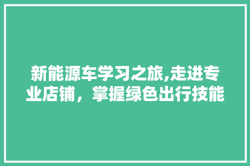 新能源车学习之旅,走进专业店铺，掌握绿色出行技能