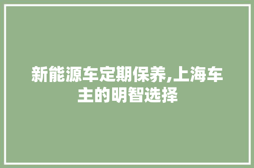 新能源车定期保养,上海车主的明智选择