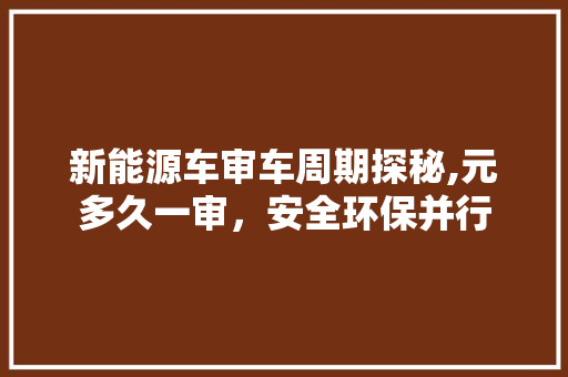 新能源车审车周期探秘,元多久一审，安全环保并行