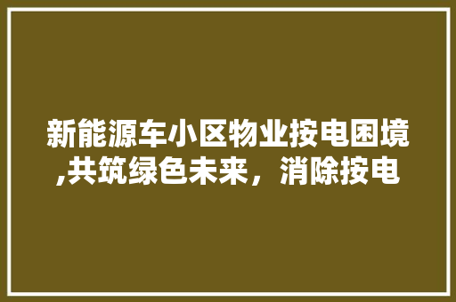 新能源车小区物业按电困境,共筑绿色未来，消除按电阻碍