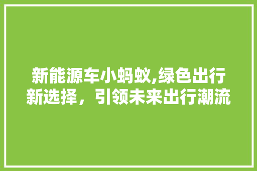 新能源车小蚂蚁,绿色出行新选择，引领未来出行潮流