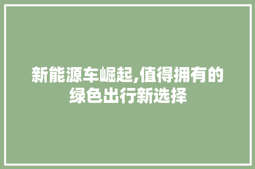 新能源车崛起,值得拥有的绿色出行新选择