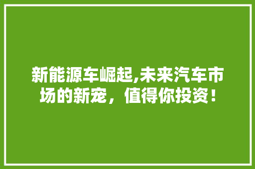 新能源车崛起,未来汽车市场的新宠，值得你投资！