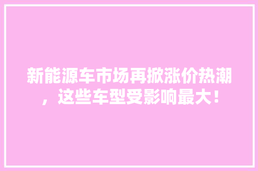 新能源车市场再掀涨价热潮，这些车型受影响最大！