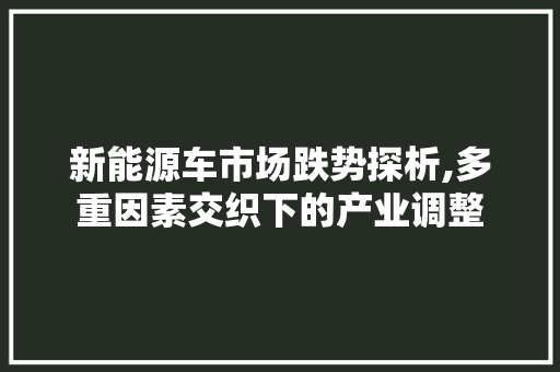 新能源车市场跌势探析,多重因素交织下的产业调整