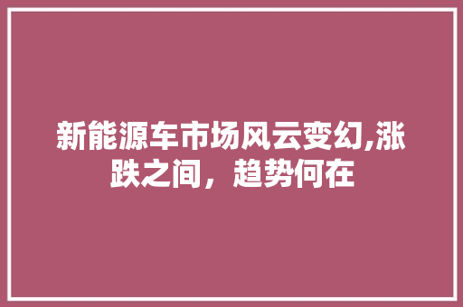 新能源车市场风云变幻,涨跌之间，趋势何在