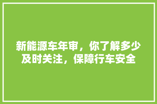 新能源车年审，你了解多少及时关注，保障行车安全