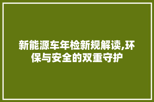 新能源车年检新规解读,环保与安全的双重守护