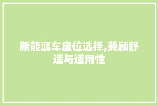 新能源车座位选择,兼顾舒适与适用性