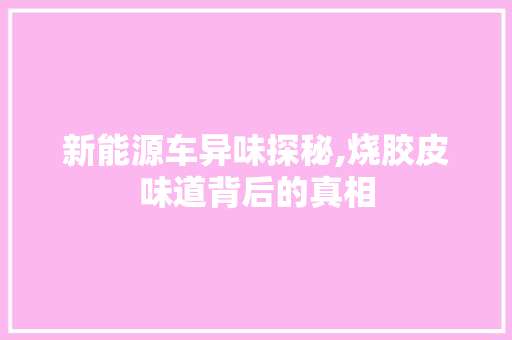 新能源车异味探秘,烧胶皮味道背后的真相