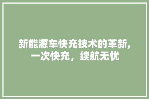 新能源车快充技术的革新,一次快充，续航无忧