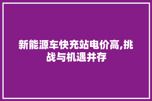 新能源车快充站电价高,挑战与机遇并存