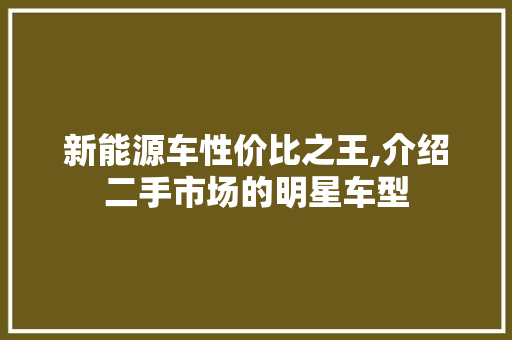 新能源车性价比之王,介绍二手市场的明星车型