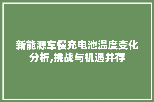 新能源车慢充电池温度变化分析,挑战与机遇并存