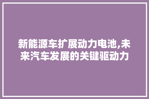 新能源车扩展动力电池,未来汽车发展的关键驱动力