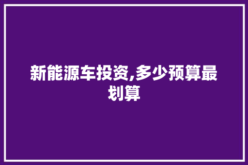 新能源车投资,多少预算最划算