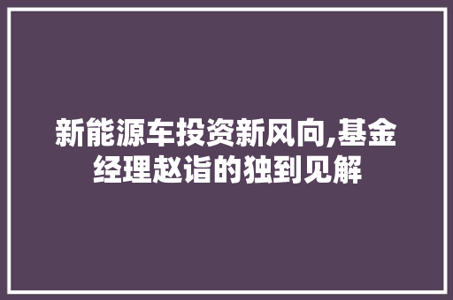 新能源车投资新风向,基金经理赵诣的独到见解