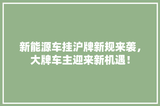 新能源车挂沪牌新规来袭，大牌车主迎来新机遇！