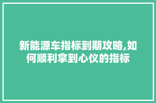 新能源车指标到期攻略,如何顺利拿到心仪的指标