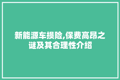 新能源车损险,保费高昂之谜及其合理性介绍