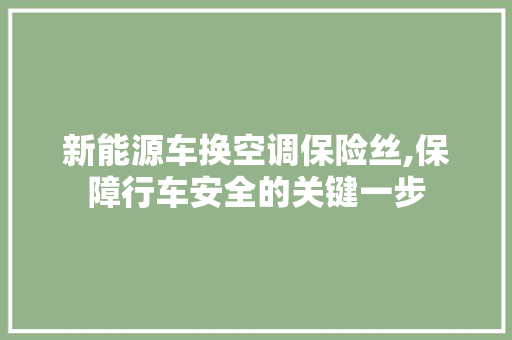 新能源车换空调保险丝,保障行车安全的关键一步