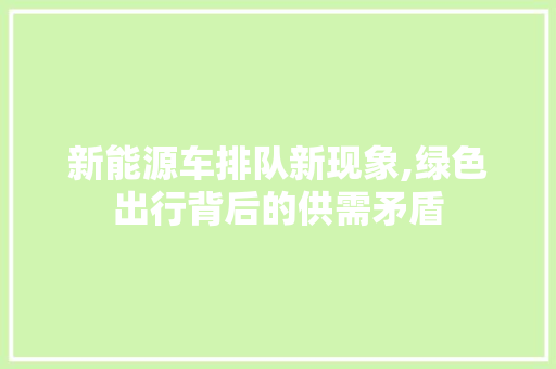 新能源车排队新现象,绿色出行背后的供需矛盾