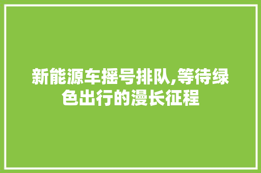 新能源车摇号排队,等待绿色出行的漫长征程