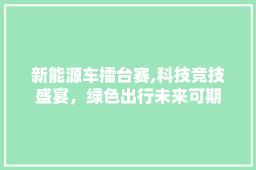 新能源车擂台赛,科技竞技盛宴，绿色出行未来可期