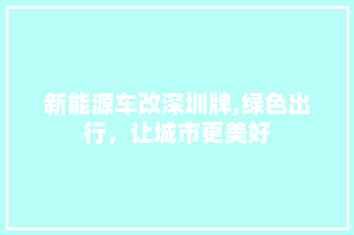 新能源车改深圳牌,绿色出行，让城市更美好