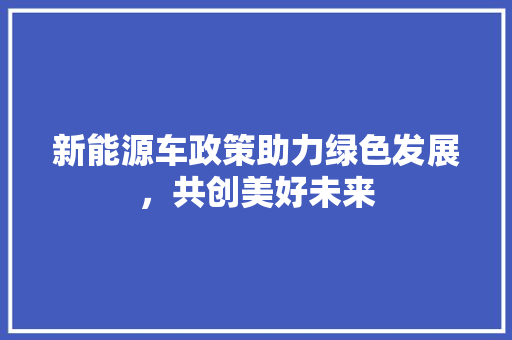 新能源车政策助力绿色发展，共创美好未来